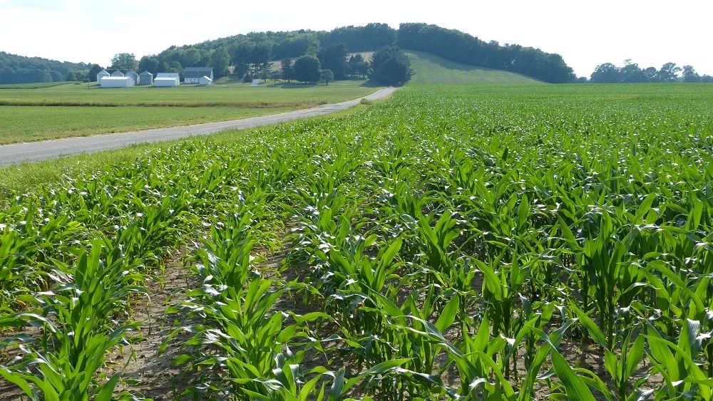 Indiana Crops: 63 Percent of Corn, 61 Percent Soybeans Rated Good-to ...