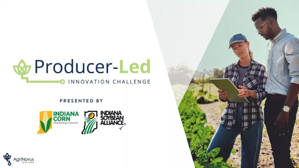 producer led challenge