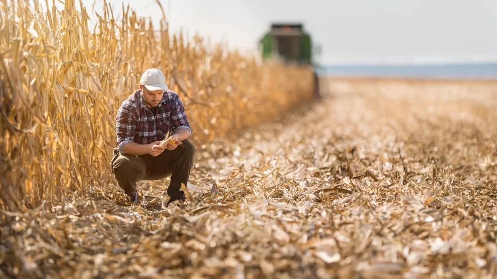 young farmer