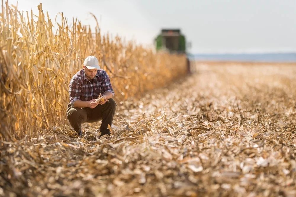 young farmer