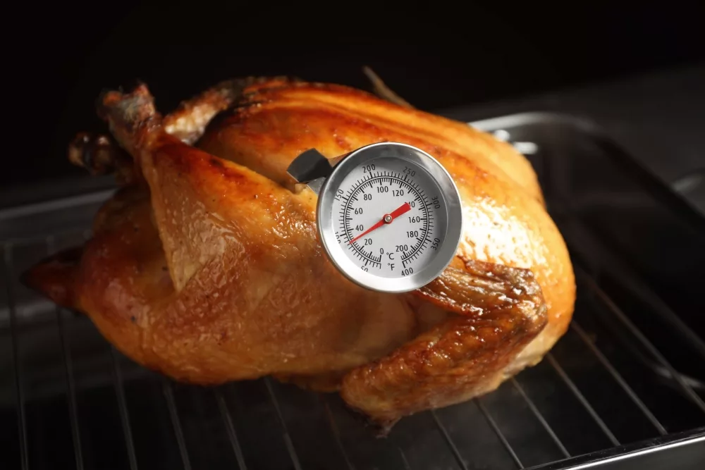 turkey-food-thermometer