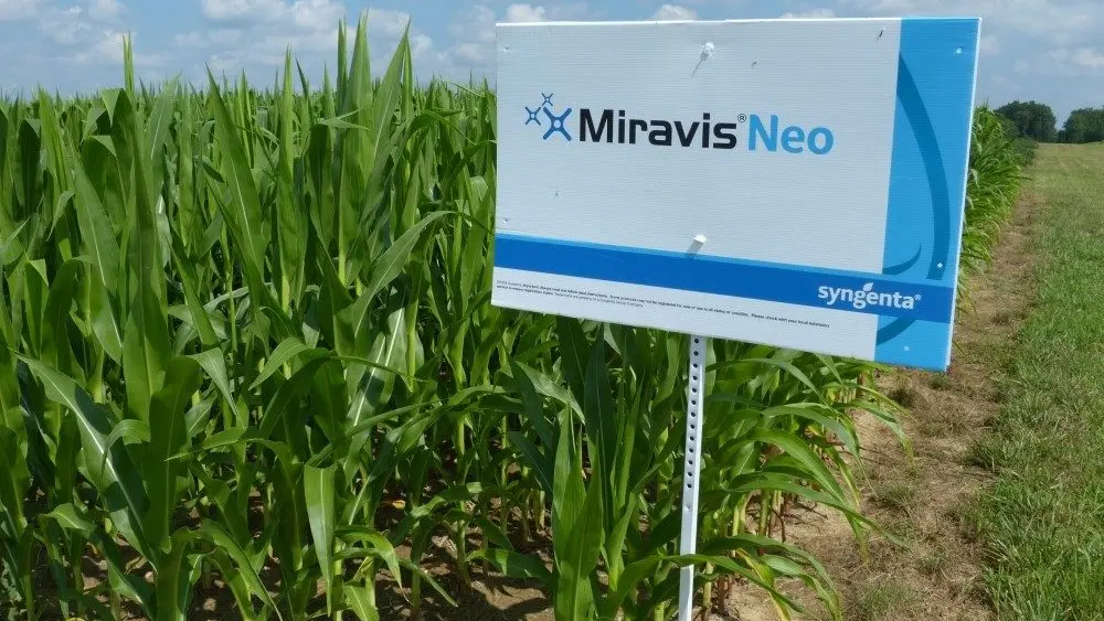 miravis neo