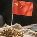 China Buys the First U.S. Soybeans of the Season