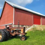 Episode 114: Pre-Turkey-Day Smorgasbord