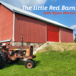 The Little Red Barn Podcast Ep. 138: Anxiety!