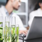 Not All Biostimulants Are Equal: Why Grower Education Matters