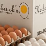 Egg Boom in Indiana: Michigan Producer Invests $20M in New Facility in Noble County
