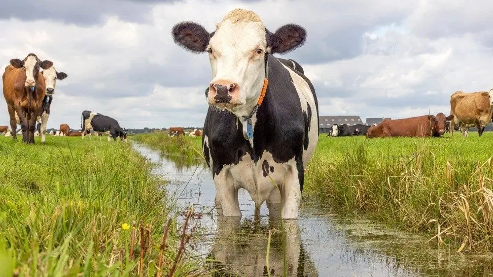 ISDA Rolls Out Revised Nutrient Reduction Strategy Focused on Cleaner Waterways