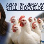 USDA Says Avian Influenza Vaccine Still in Development