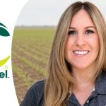 West Central Indiana Planting Ahead of the State Pace