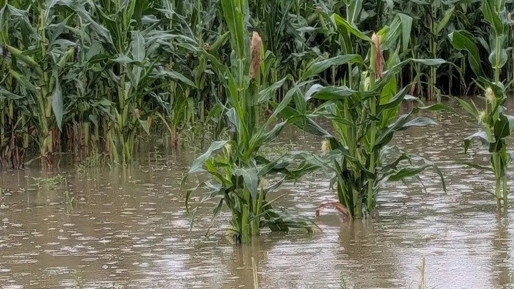 Disaster Declaration Opens Door for Farm Relief as Historic Floods and Storms Batter Indiana