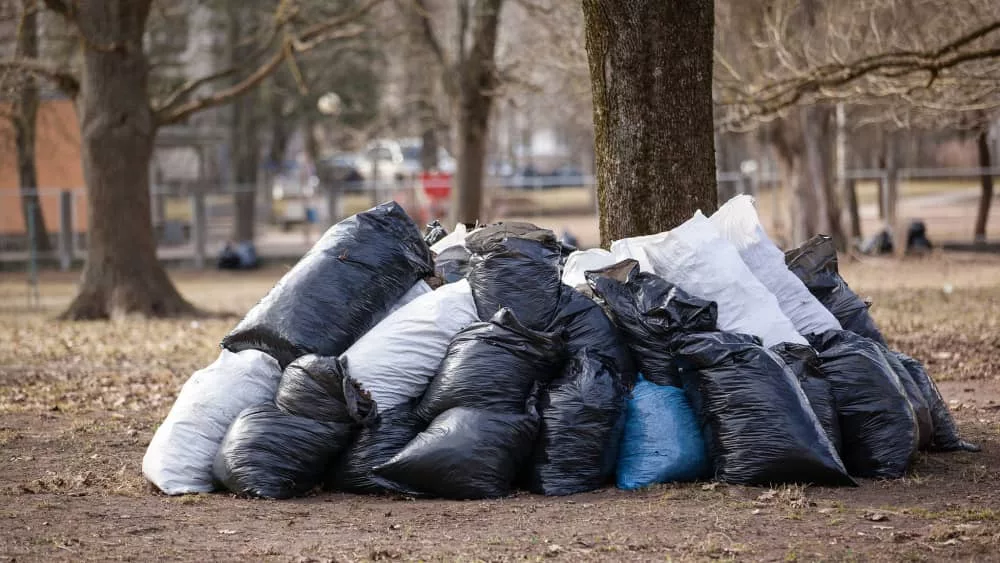 cleanup-adobe-stock-1-jpg-2