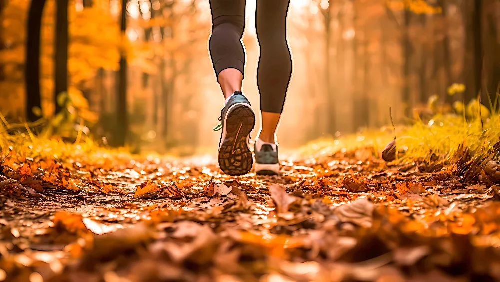 rec-trail-3-jpeg