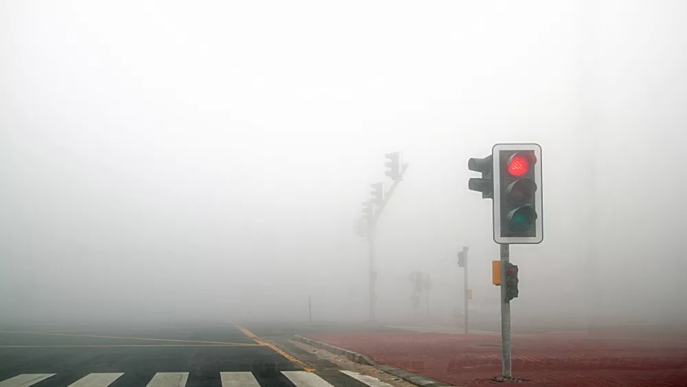 dense-fog-jpeg
