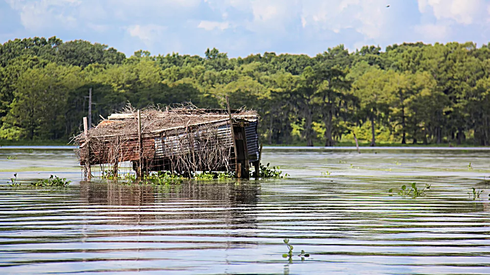 duck-blind-2-jpeg