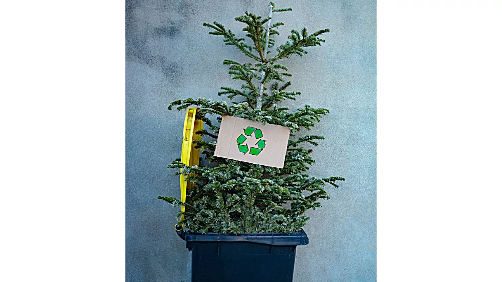 recycle-christmas-treet-jpeg