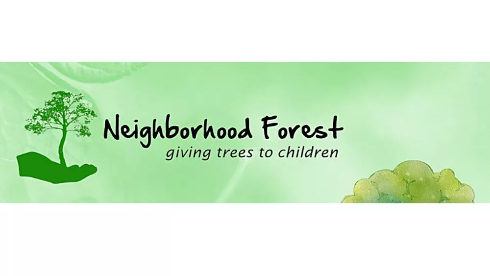 neighborhood-forest-6-jpeg