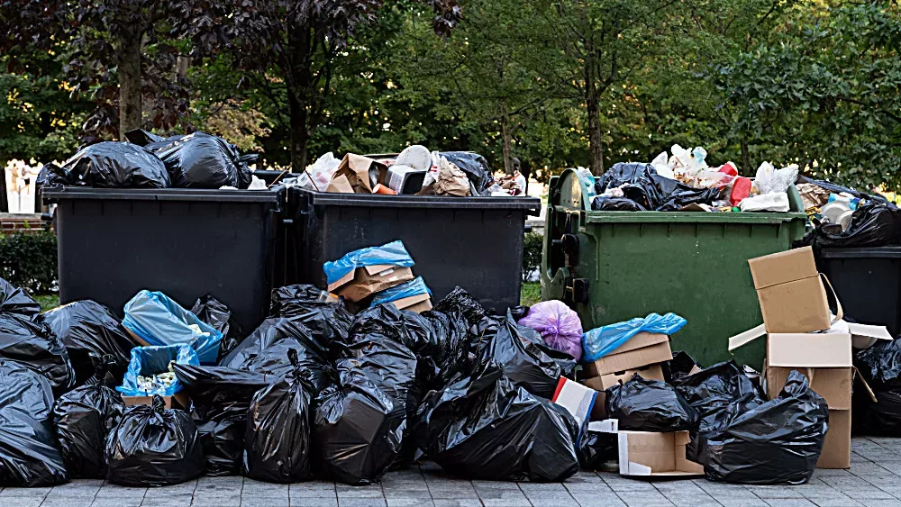 cleanup-3-jpeg-9