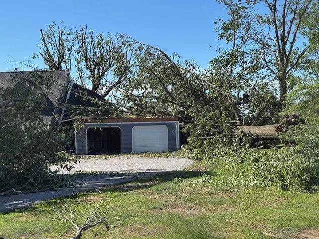 image12-jpeg