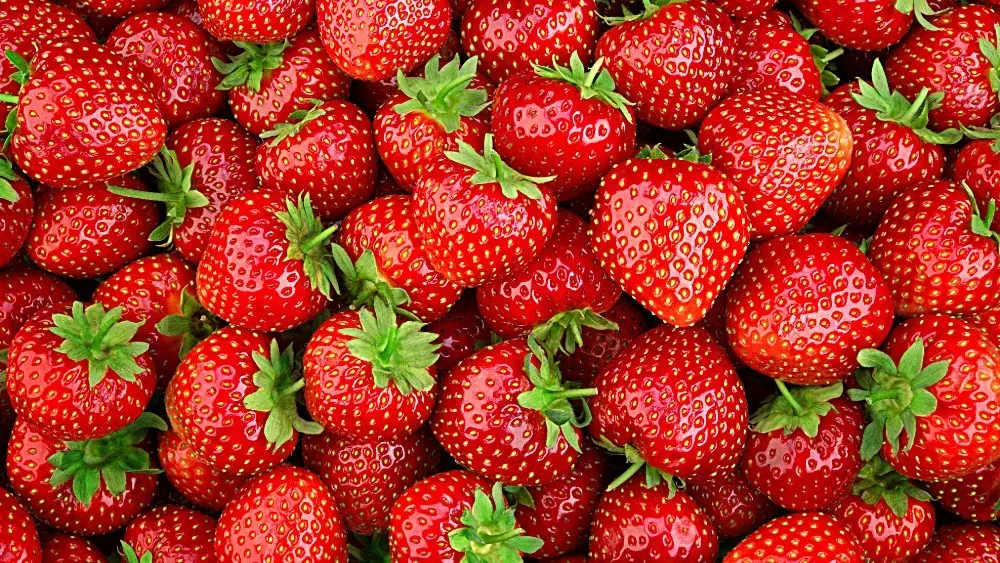 strawberry-3-jpeg