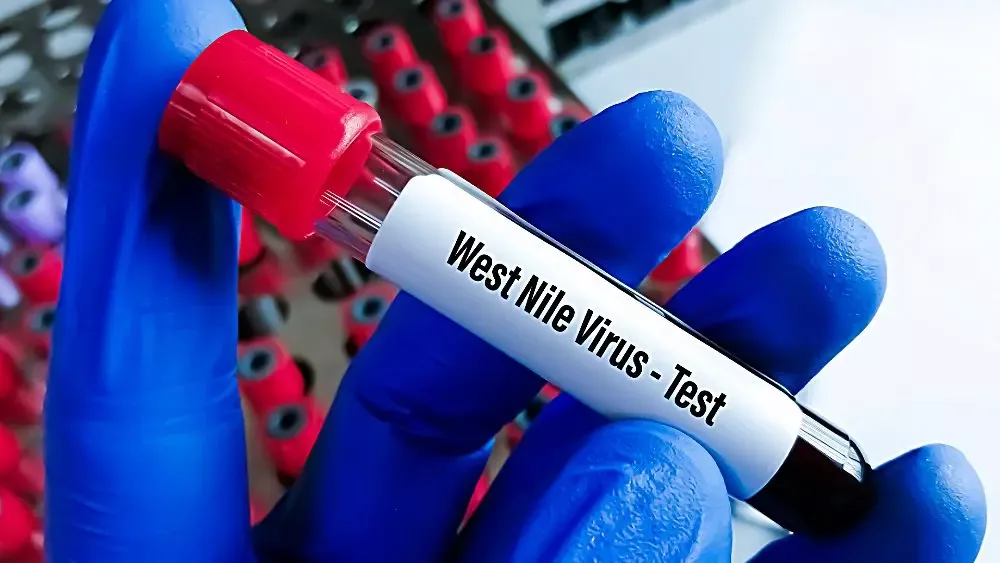 west-nile-virus-test-3-jpeg