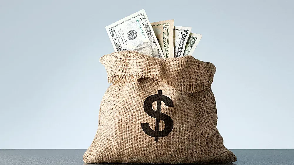 bag-of-money-2-jpeg-26