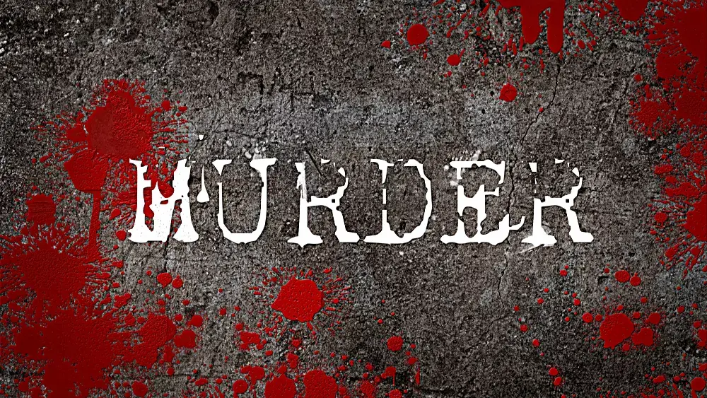 murder-2-jpeg-2
