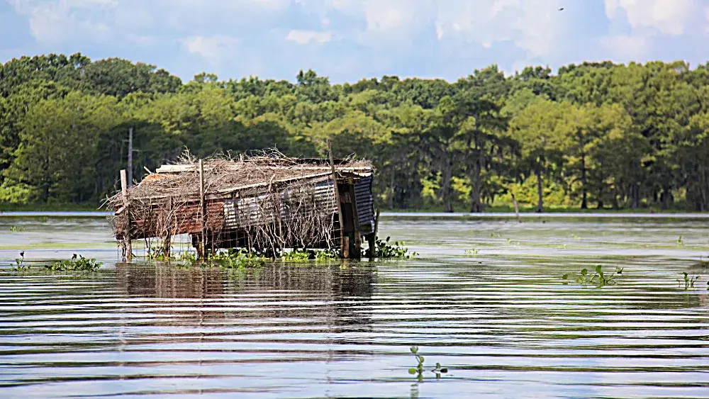 duck-blind-2-jpeg-2