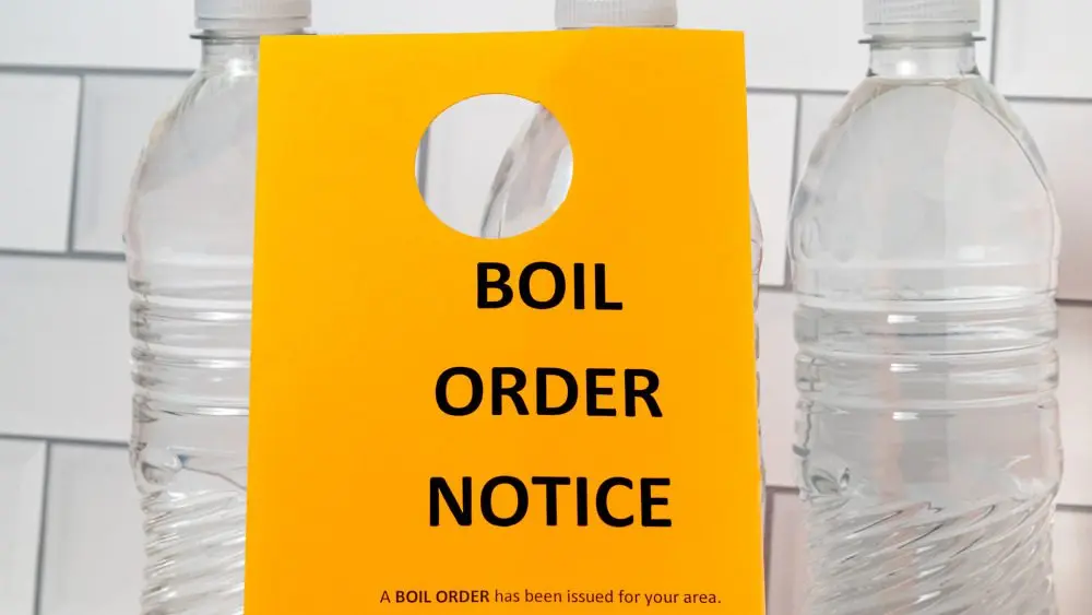 boil-order-adobe-stock-photo-1