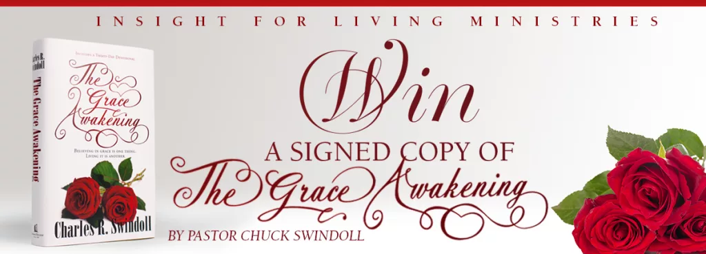 2023-08-grace-awakening-banner-book-2