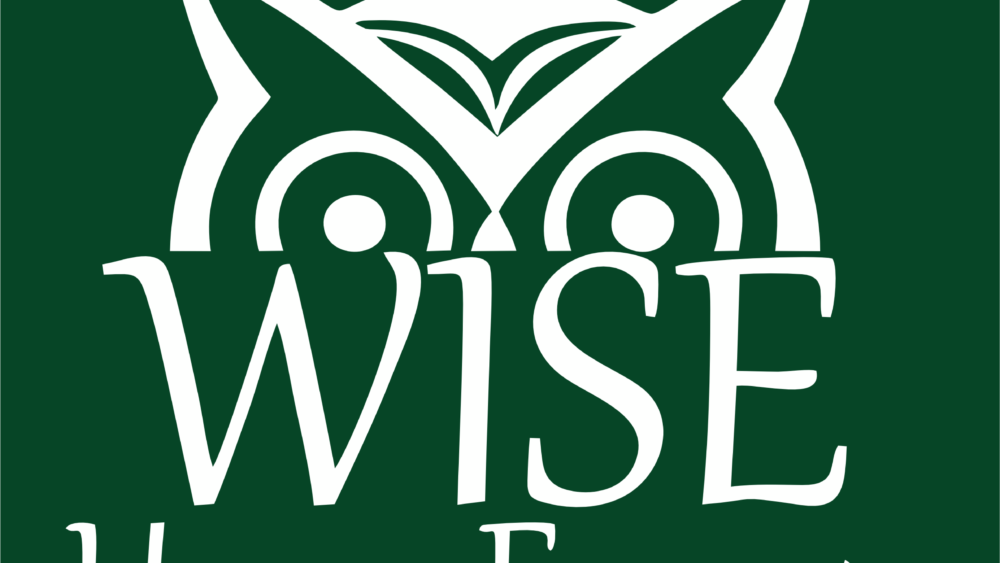 wise-energy-logo