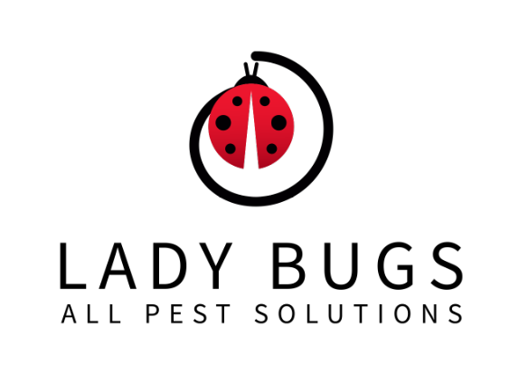 lady-bugs