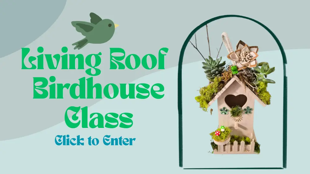 birdhouse-class-slider