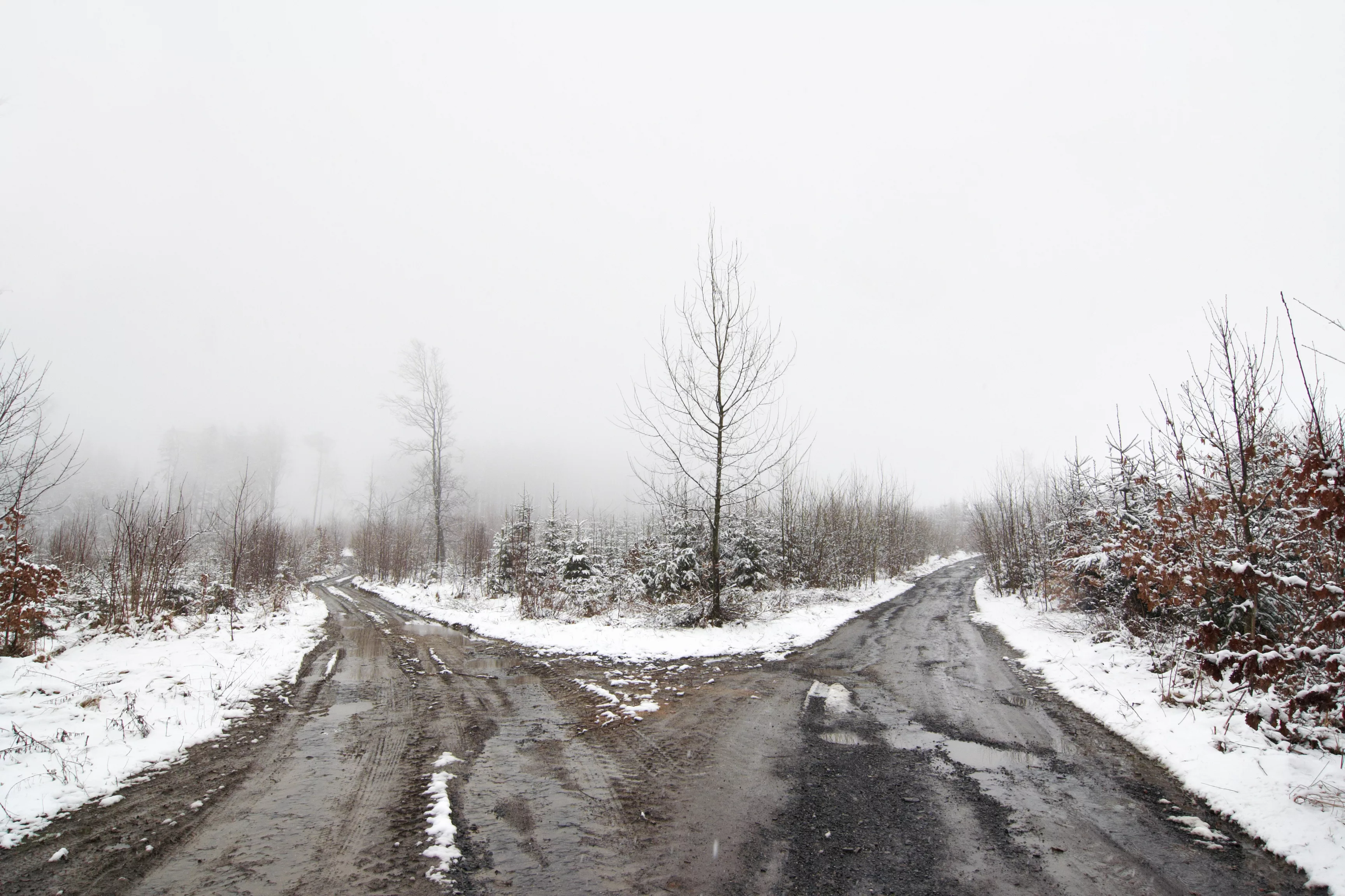 bleak