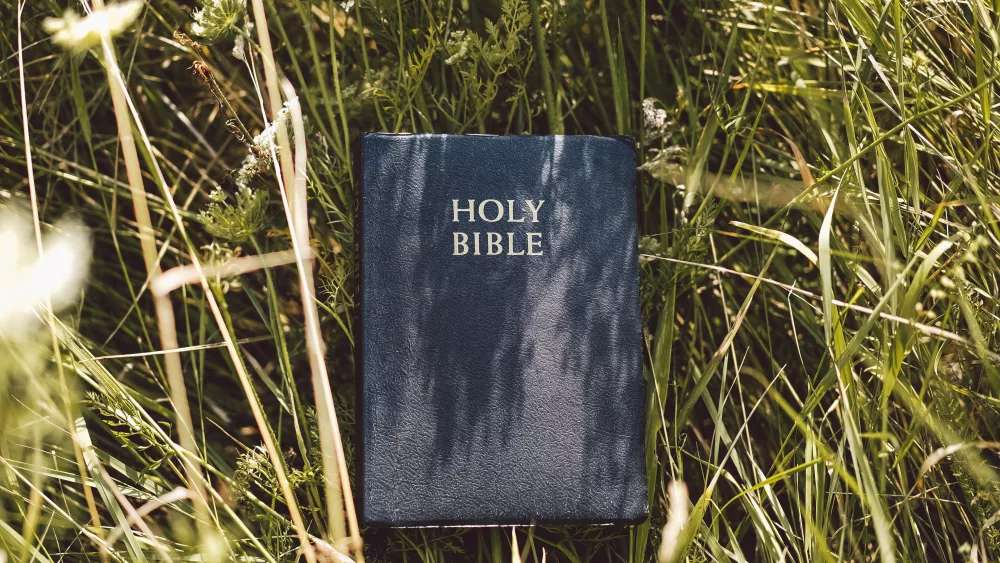 Bible in the grass, like those distributed by gideons international