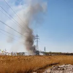 ignition-of-dry-grass-and-reeds-near-residential-buildings