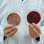 lab-worker-is-holding-containers-with-trichoderma-and-sclerotinia