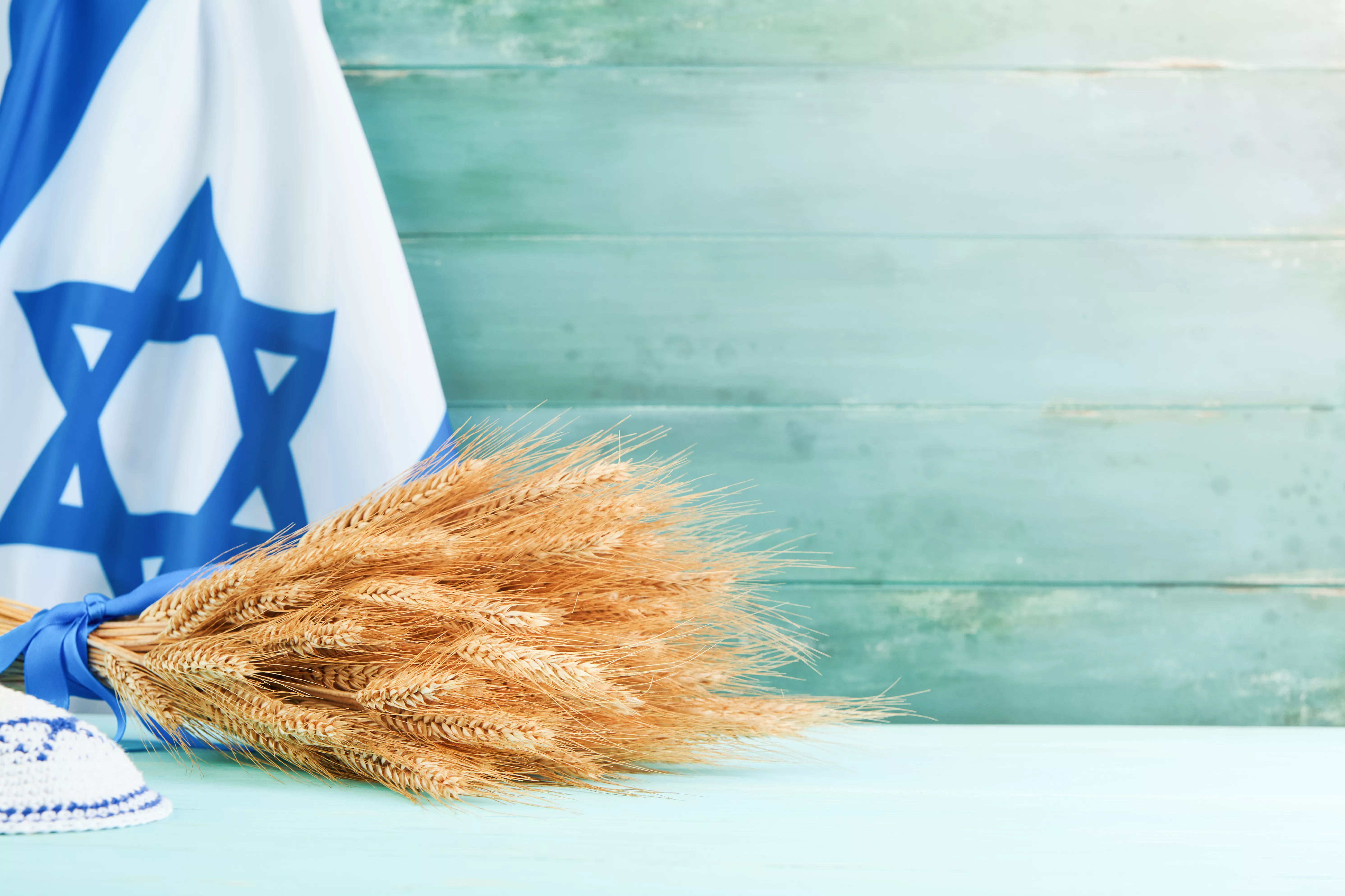 shavuot-jewish-background-ripe-bouquet-of-wheat-with-blue-ribbon-against-the-background-of-israeli-flag-and-old-wooden-wall-with-sun-rays-background-for-shavuot-celebration-mock-up