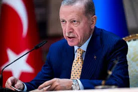 erdogan_toi