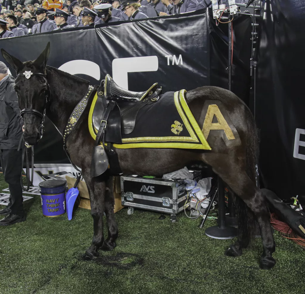 10th-combat-aviation-brigade-attends-army-navy-game