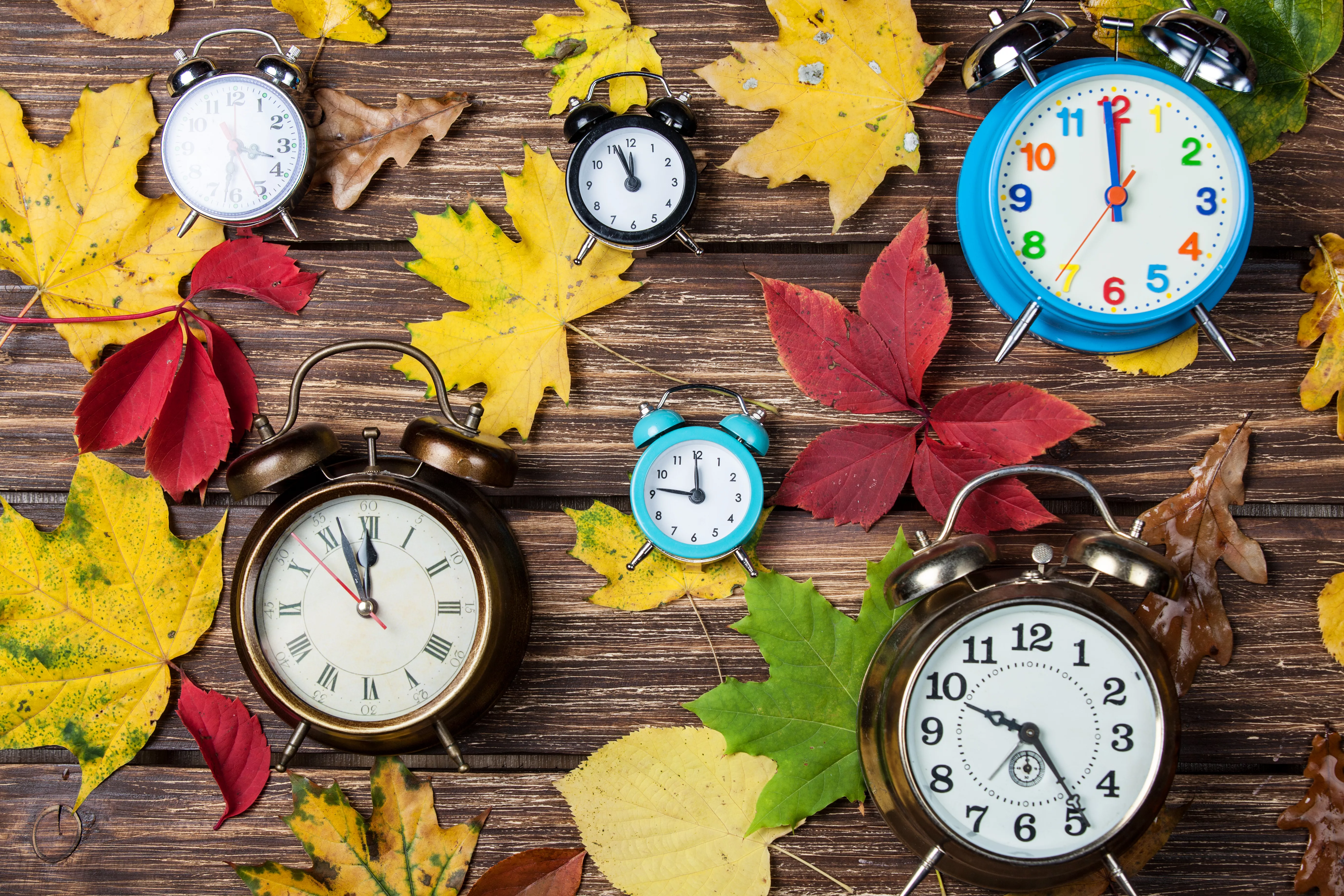 autumn-leafs-and-alarm-clock-on-wooden-table
