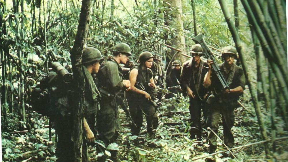 jungle