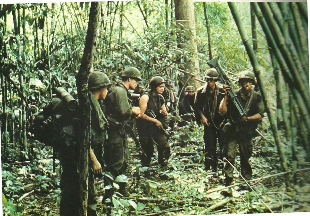 jungle