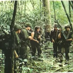 jungle