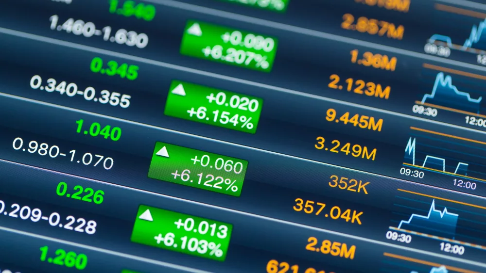 Envato Market