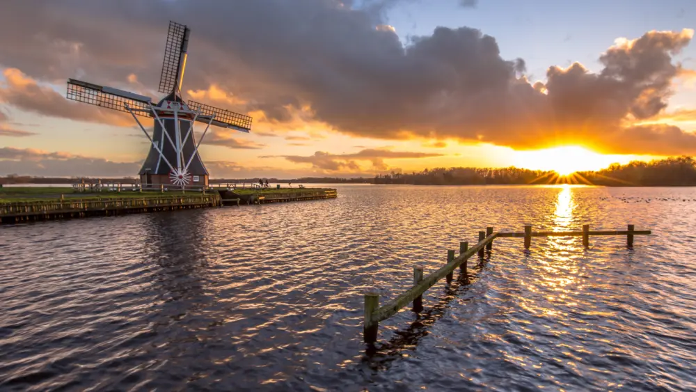 Dutch
