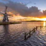 Dutch