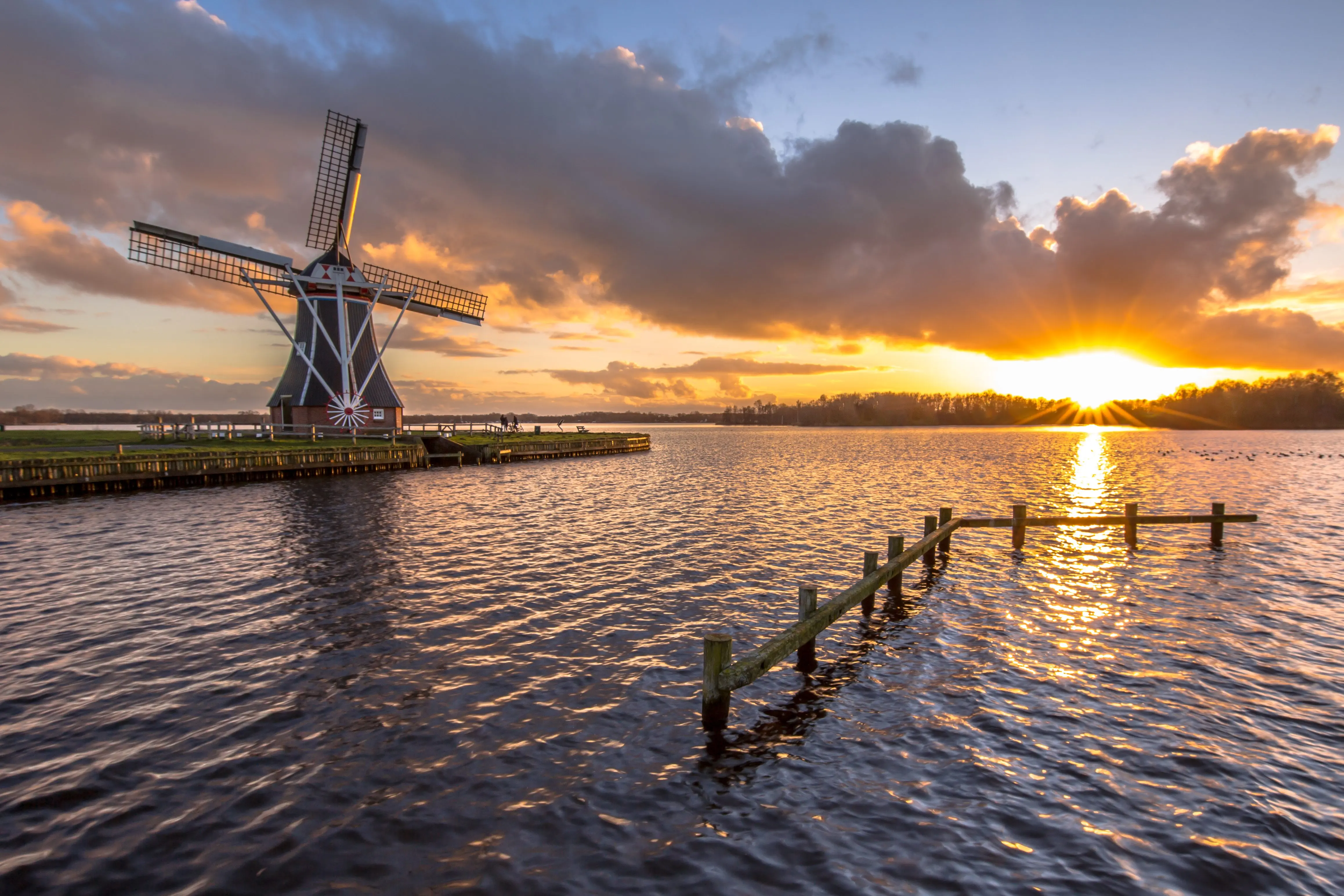 Dutch