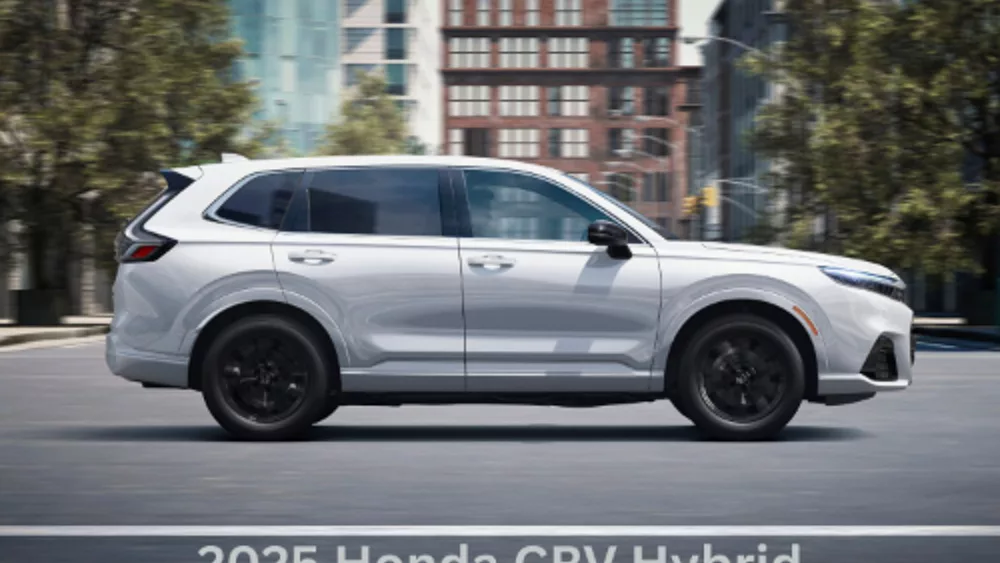 artworks-bgiwqvzpodjxx9og-wrkzmw-t3000x3000318413