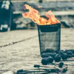Envato Market